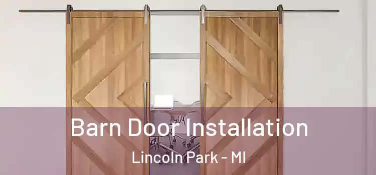 Barn Door Installation Lincoln Park - MI
