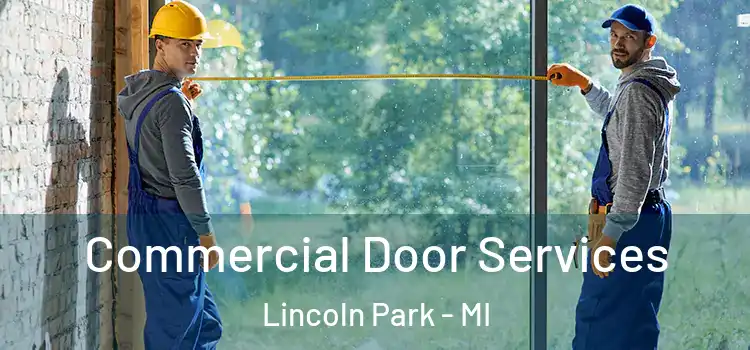Commercial Door Services Lincoln Park - MI