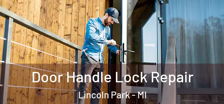 Door Handle Lock Repair Lincoln Park - MI