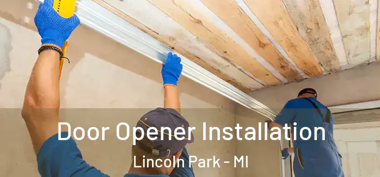 Door Opener Installation Lincoln Park - MI