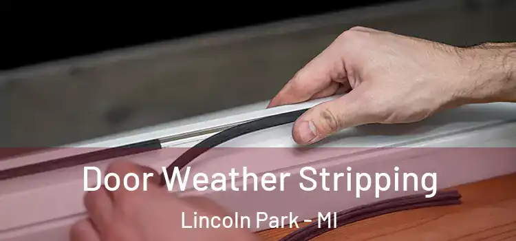 Door Weather Stripping Lincoln Park - MI