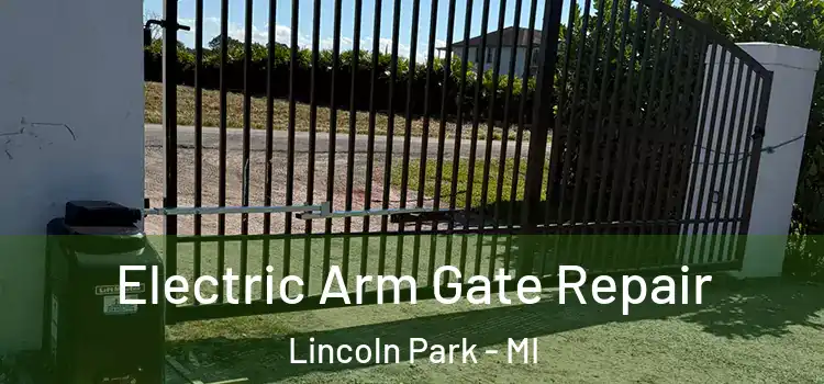 Electric Arm Gate Repair Lincoln Park - MI