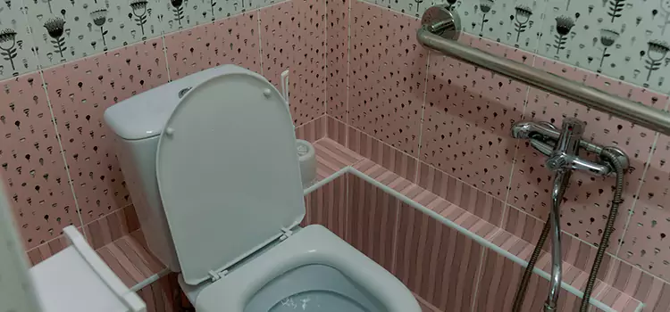 Meeting Diverse Needs With Accessible Restroom Solutions in Lincoln Park, MI