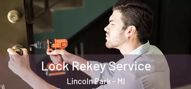 Lock Rekey Service Lincoln Park - MI