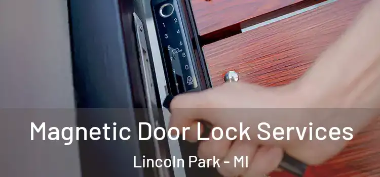 Magnetic Door Lock Services Lincoln Park - MI