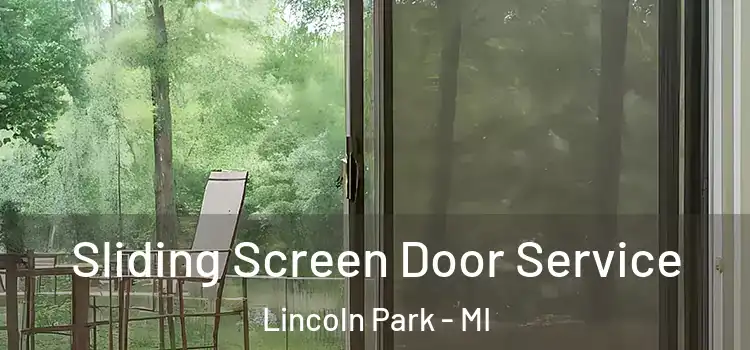 Sliding Screen Door Service Lincoln Park - MI